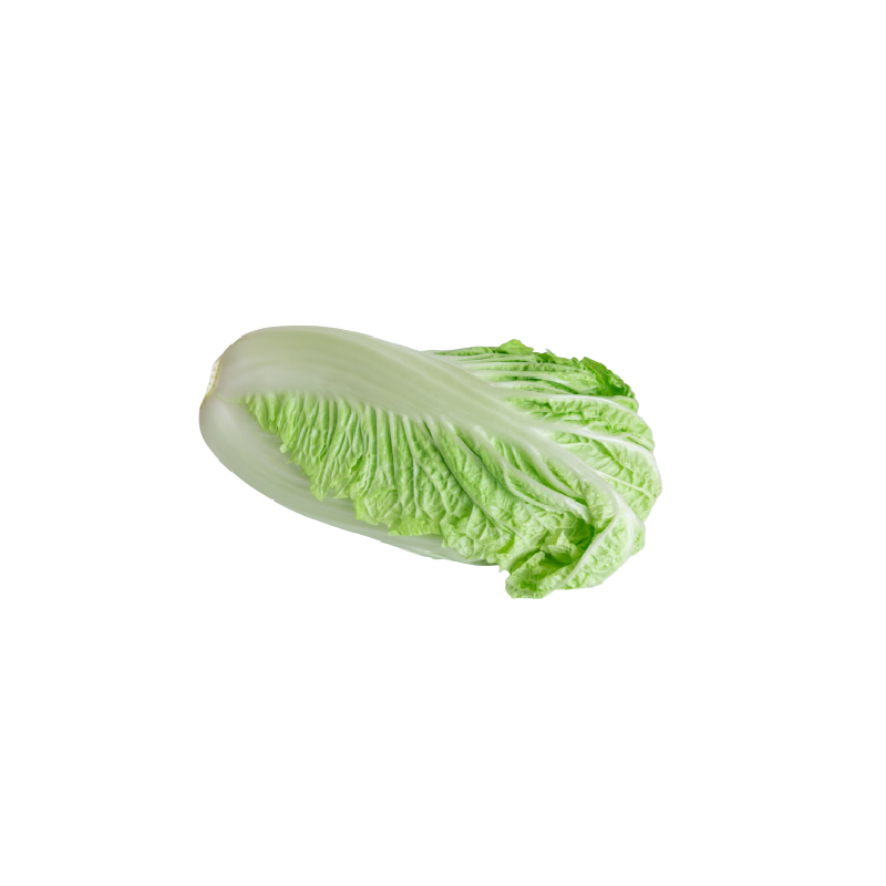 Cabbage Chinese – Fruitrack