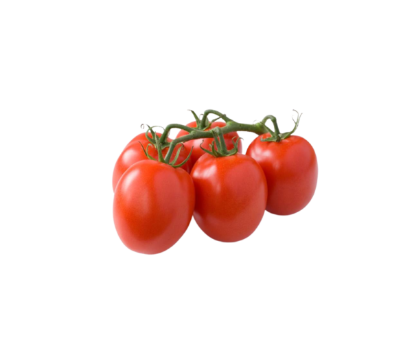 Tomatoes_Plum_in_Vine